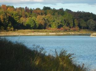 Saugeen View from Rosewood Cottages