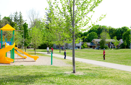 Vast greenspace
