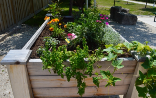 Port Elgin Raised Bed