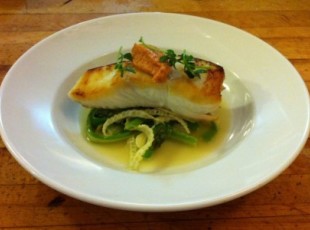 Arctic Char