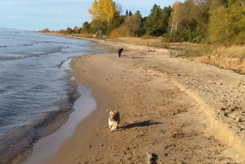 5 Minute Walk to This Beach