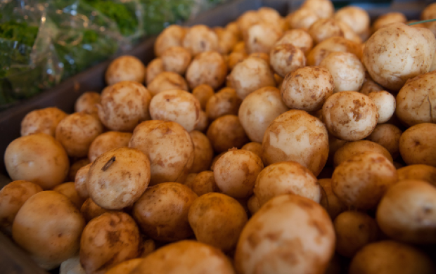 Fresh baby potatoes