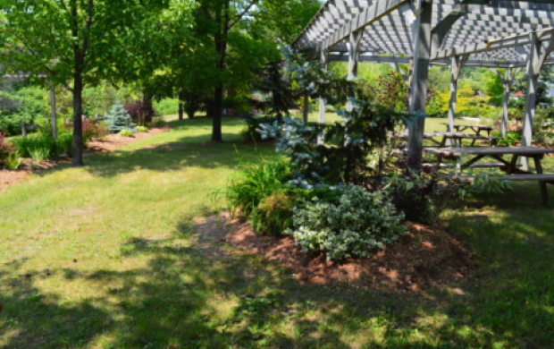 Rotary Perkins Park