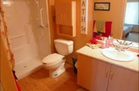 Our easy access shower - attractive and functional