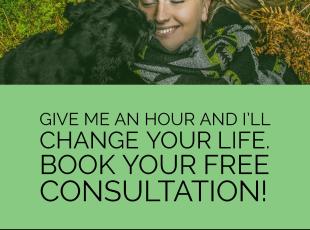 Book Your Free Consultation 
