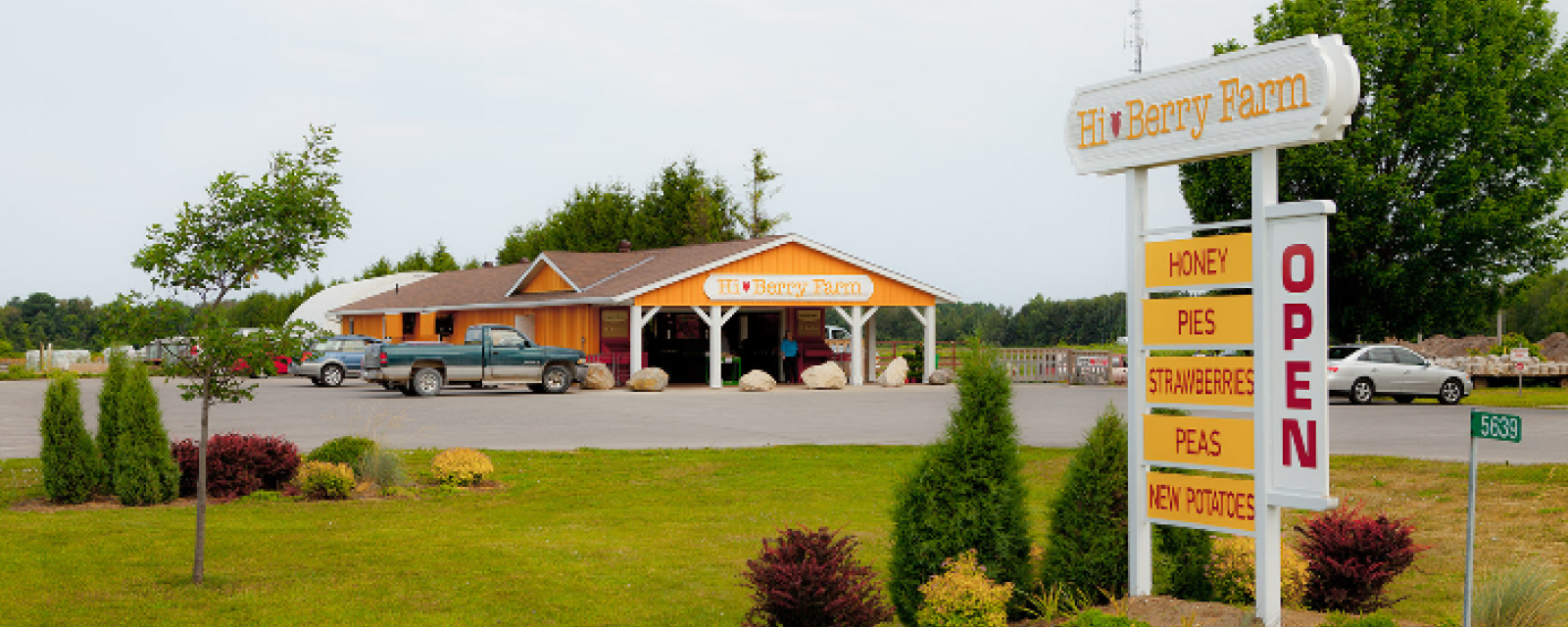Hi-Berry Farm