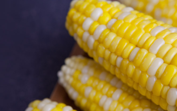 We are actually famous for our corn