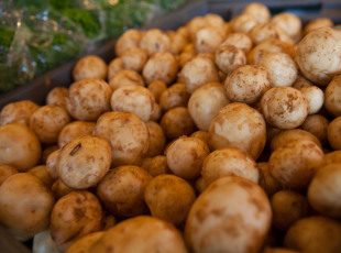 Nothing like fresh potatoes