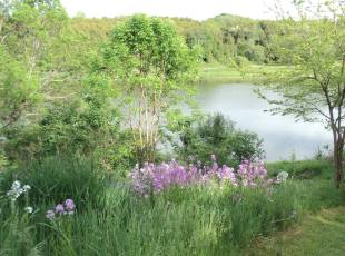 Rosewood Waterfront View