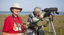 Birding