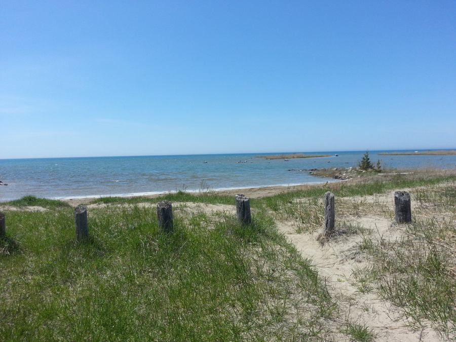 Beach View
