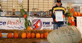 Pumpkinfest Patches