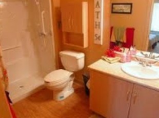 Our easy access shower - attractive and functional