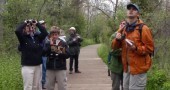 Birding Port Elgin