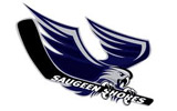 Winterhawks Hockey Game