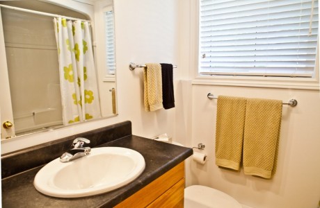 Clean Modern Bathroom