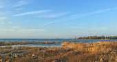 Miramichi Bay