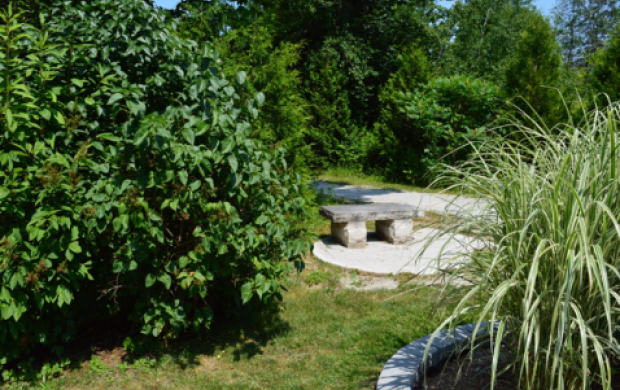 Rotary Perkins Park