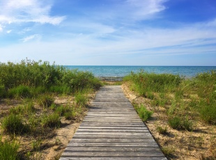 Eidts Grove Beach