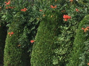 Outside