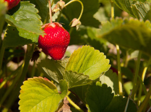 Almost ready...