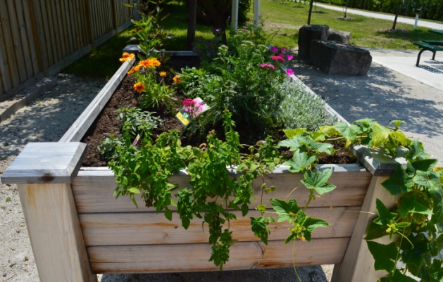 Port Elgin Raised Bed