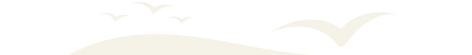Secondary Slider Overlay